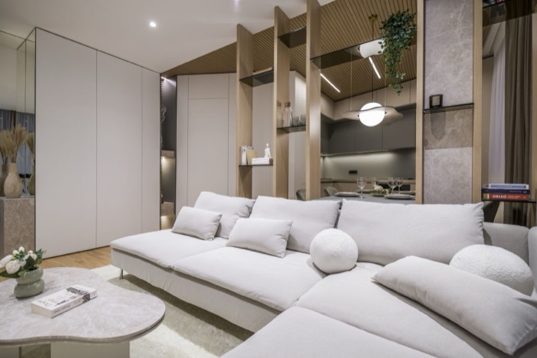 Soft Geometry Apartment